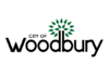Flag of City of Woodbury