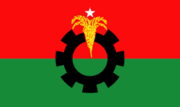 Flag of the Bangladesh Nationalist Party.svg