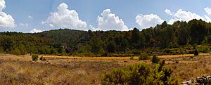 Foto Panorámica Quebrada (barranco y llanura)