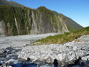 Fox Glacier, New Zealand (3)