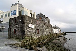 Galway 2011-12-26 41
