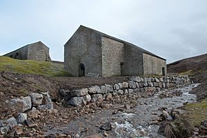 Grinton Smelt Mill post 2019 flooding.jpg