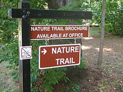 Harrisville state park trail 01