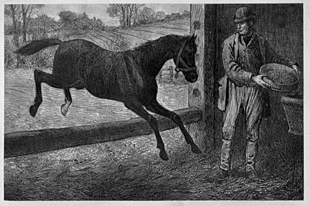 Illust by Edgar Giberne for Riding Recollections by George John Whyte-Melville-Teaching horses to jump timber