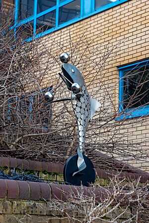 Juggling Fish