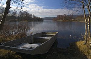 Loch Kinord - geograph.org.uk - 7242