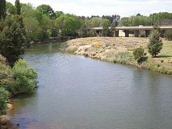 Macquarie River.JPG