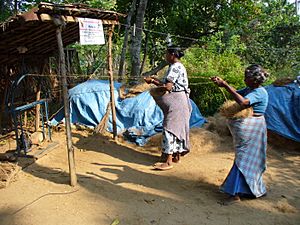 Making coir rope in Kerala