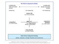 Model of the field of physical activity.pdf