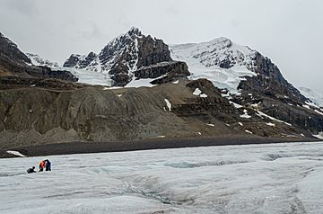 Mount Andromeda from the Athabasca Glacier.jpg