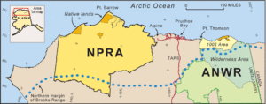 NPRA F1lg