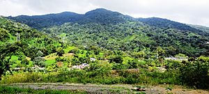 View of El Toro peak from Peña Pobre