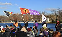 Native American flags at Beyond NoDAPL March on Washington, DC