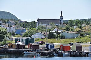 NewPerlicanNL ConservationZone