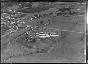 North Shore Hospital under construction, 1956