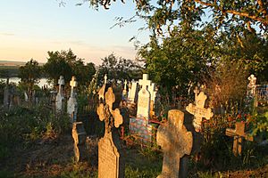 Overgrown cemetery overlooking the Danube