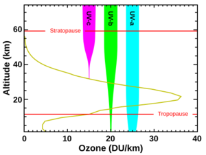 Ozone altitude UV graph