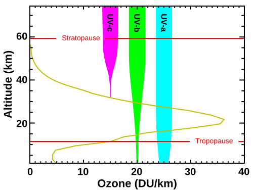 Ozone altitude UV graph