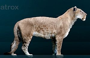 Panthera leo atrox Sergiodlarosa