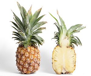 Pineapple and cross section