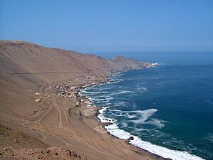 Pisagua overview