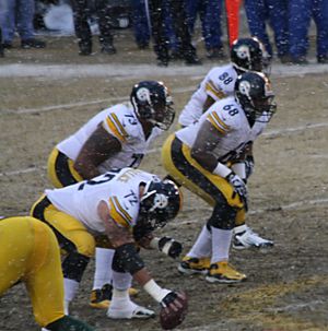 Pittsburgh 2013 left side offensive line