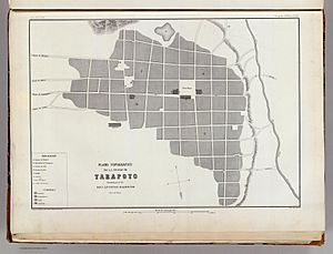 Plano topografico de la ciudad de Tarapoto por Antonio Raimoni 1874