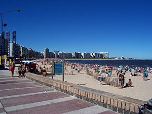 Pocitos Beach in Montevideo