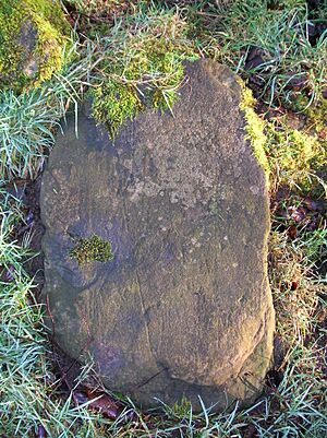Plough marks