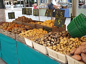 Potatoes for sale in a market in France