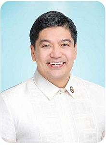Luis Raymund Villafuerte Facts for Kids