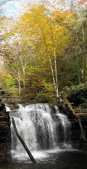 Ricketts Glen State Park Wyandot Falls 6