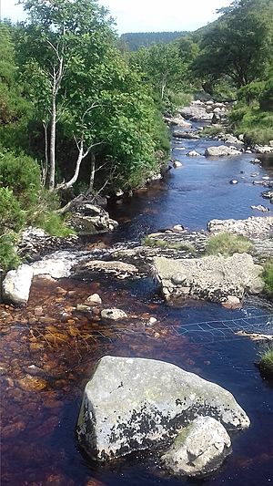 River Dargle at the foot of Maulin mountain