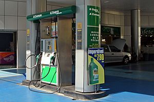 Sao Paulo ethanol pump 04 2008 74 zoom
