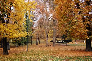 Sarajevo Veliki-Park 2011-11-08