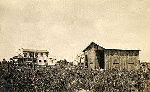 Scene at a farm at Hall City, Christian Colony in Glades County