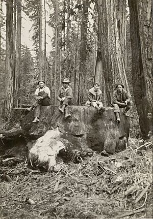 "Seventeen-foot redwood stump. Cut January 1933. Age 1500+ years. Noyo River, about 3/4 mile above railroad trestle over Redwood Creek and between Irmulco and Shake City, Mendocino County, California" (photo by Emanuel Fritz)