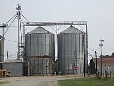Silos in Thorndale