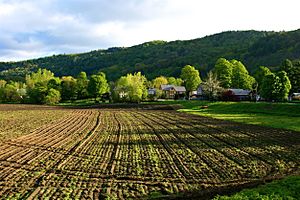Spring Field in Bethel, Vermont