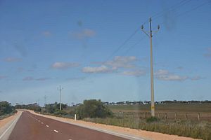 Stobie poles beside Flinders Highway