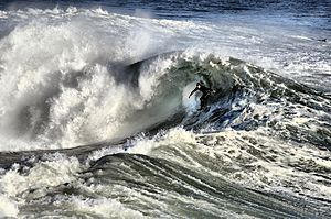 Surfer in Santa cruz 11-8-9 -1