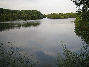 Swanholme Lakes - geograph.org.uk - 50380