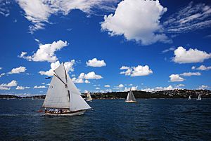Sydney harbour and sailboats