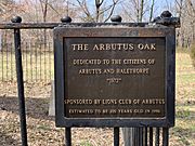 The Arbutus Oak Plaque