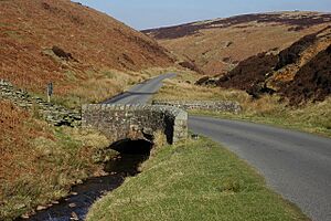 The Derbyshire Bridge, Goyt Valley - geograph.org.uk - 700033