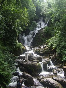 Torc Waterfall - geograph.org.uk - 1417334.jpg