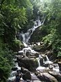 Torc Waterfall - geograph.org.uk - 1417334
