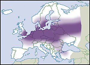 Unio-pictorum-map-eur-nm-moll.jpg