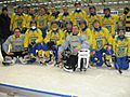Vetlanda Ukraine national bandy team