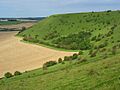 Whitesheet hill